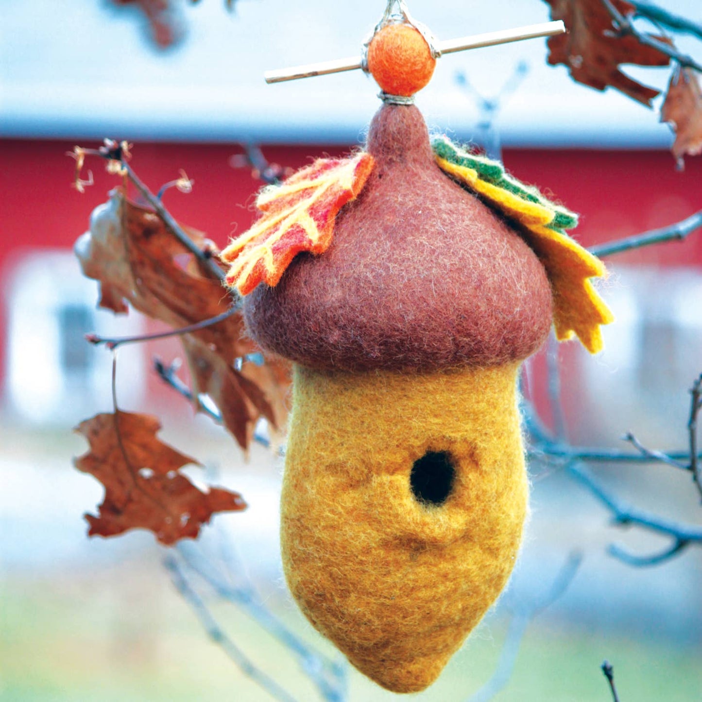 Pin Oak Acorn Birdhouse