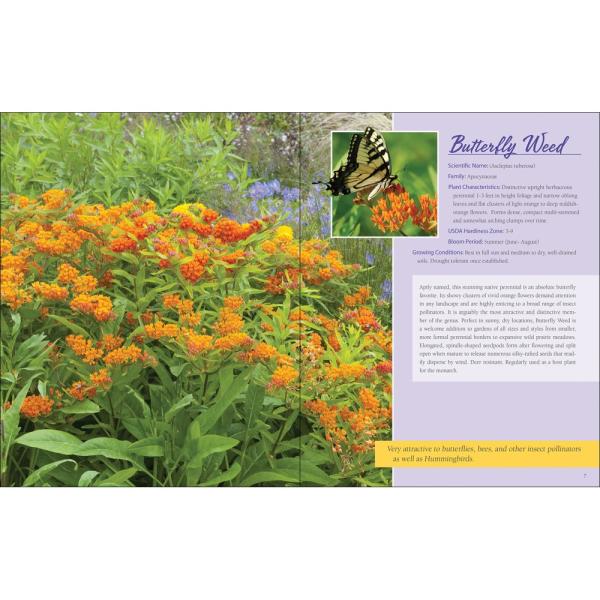 Native Plant Gardening - Upper Midwest Edition
