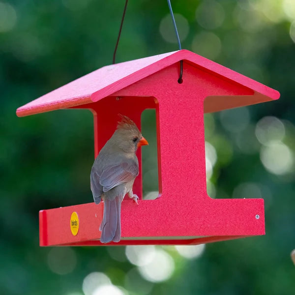 Fly Thru Feeder - Red
