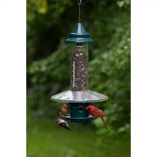 Squirrel Buster-Weather Guard