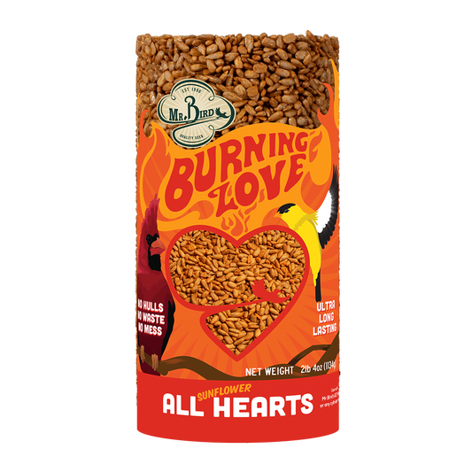 Burning Love Seed Cylinder