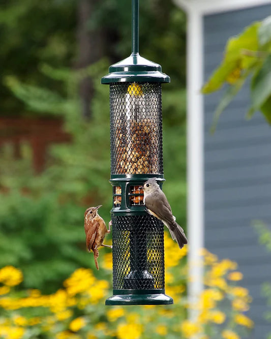 Squirrel Buster-Nut