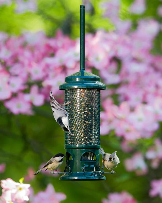 Squirrel Buster-Standard