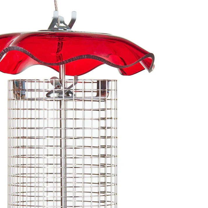 Acrylic / Mesh Sunflower Feeder - Red