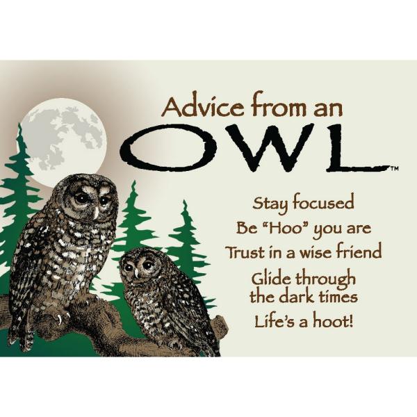 Advice from a Owl Magnet