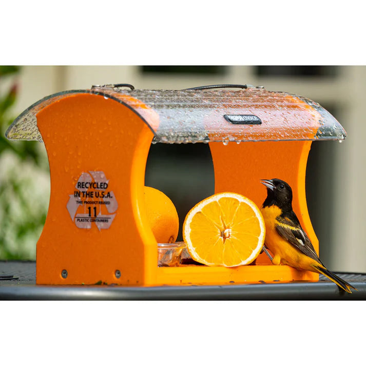 Recyled Oriole Jelly Feeder
