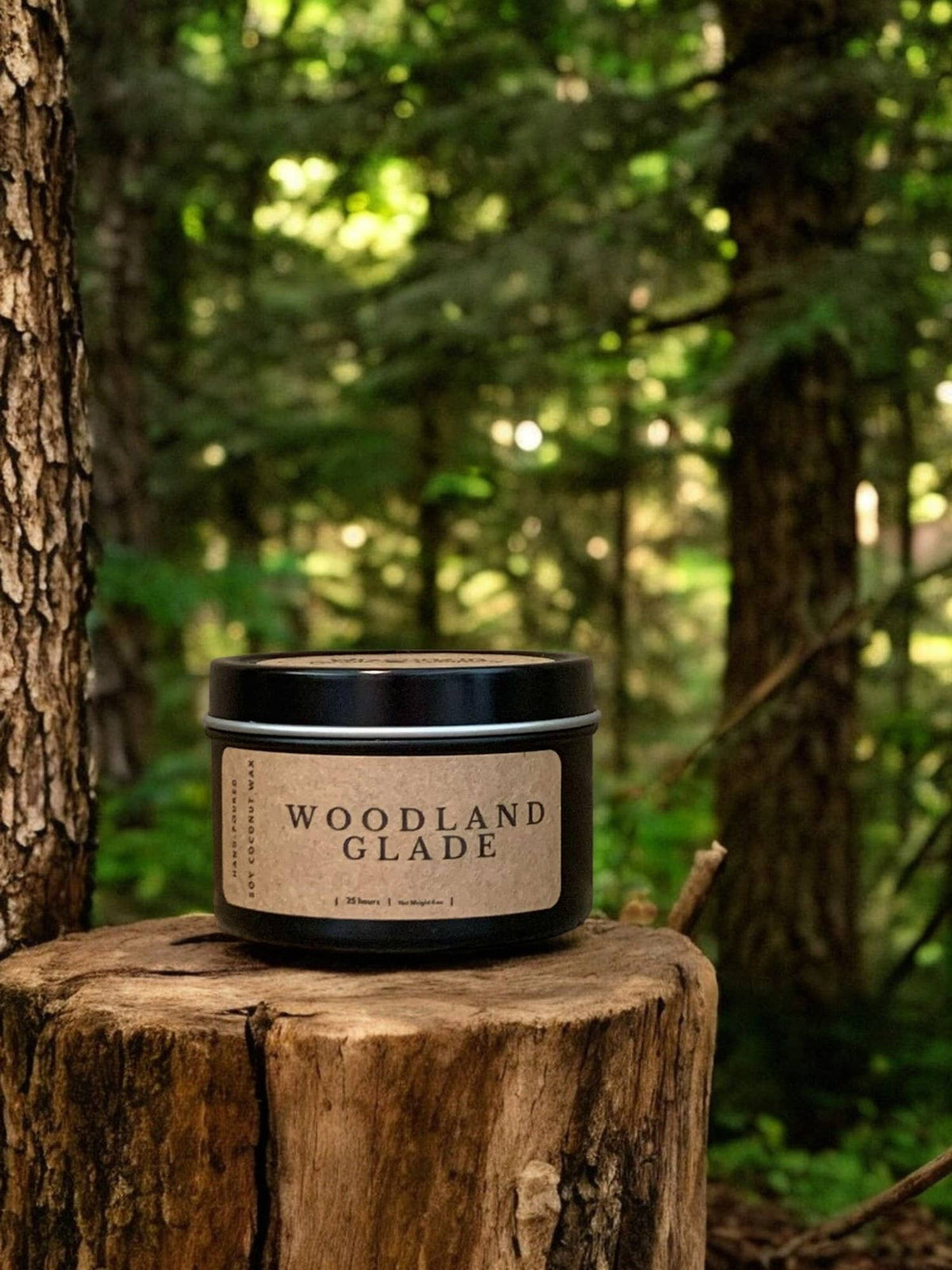 Woodland Glade