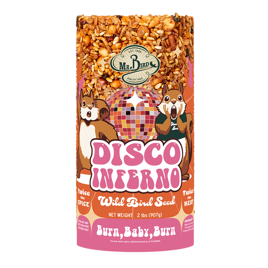 Disco Inferno Seed Cylinder