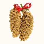 Pinecone Pair