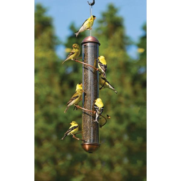 Finch Feeders