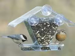 Window Feeders