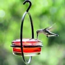 Hummingbird Feeders