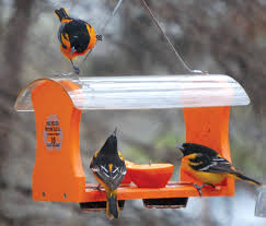 Oriole Feeders