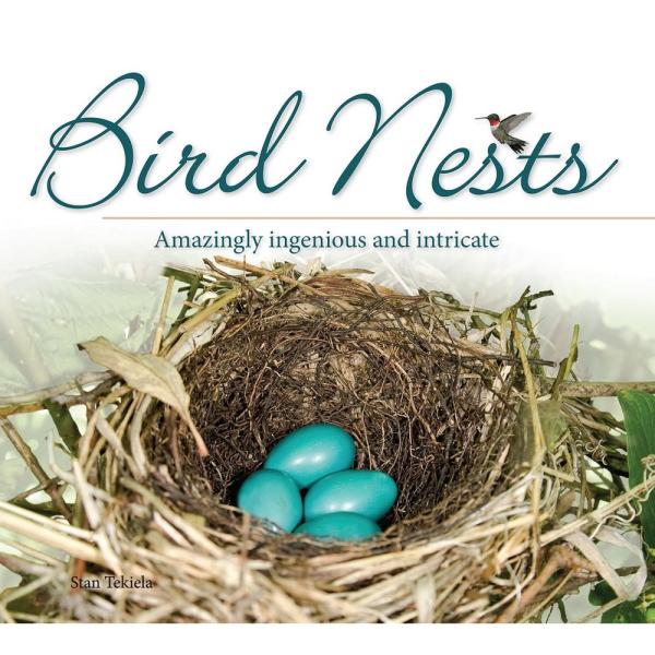 Bird Nests