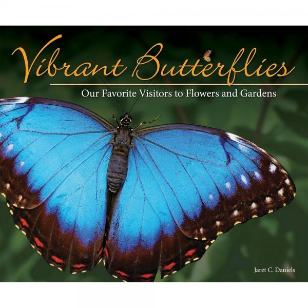 Vibrant Butterflies