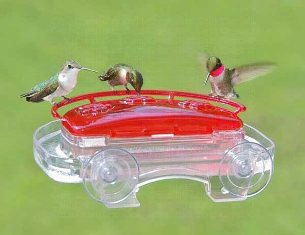 Jewel Box Hummingbird Window Feeder