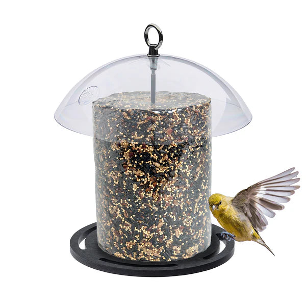 Recycled Seed Cylinder Feeder