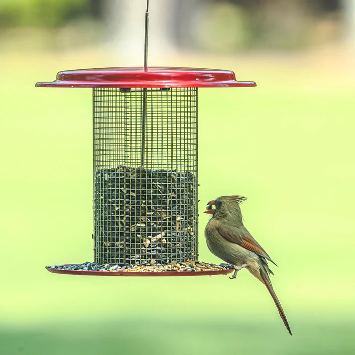 Mesh Sunflower Feeder - Red