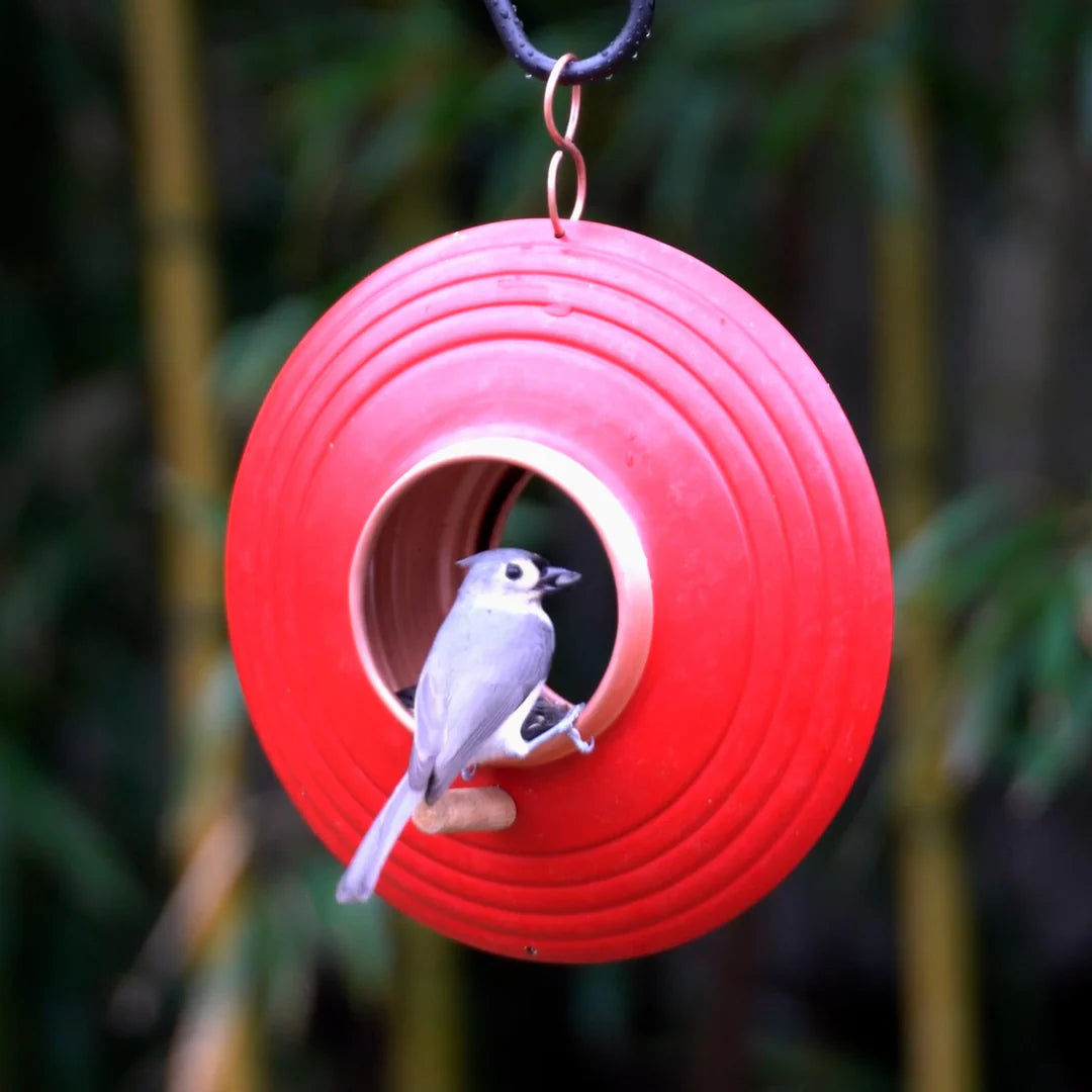 Mojave Fly-Thru Feeder
