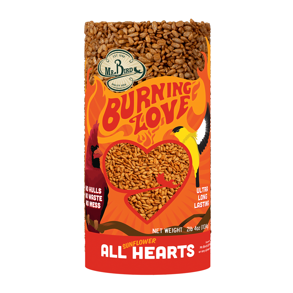 Burning Love Seed Cylinder