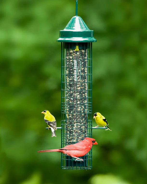 Squirrel Buster-Classic