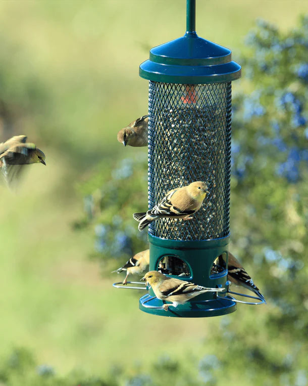 Squirrel Buster-Legacy