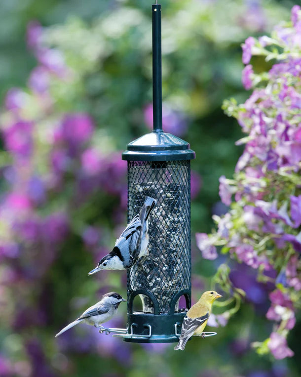 Squirrel Buster-Mini