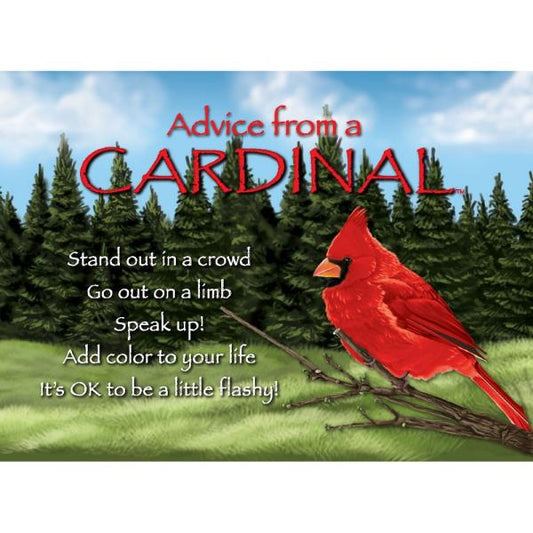 Advice from a Cardinal Magnet