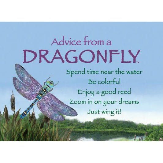Advice from a Dragonfly Magnet