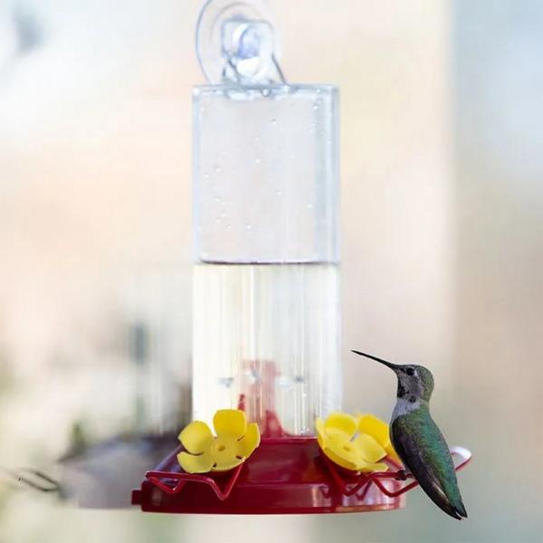 Window Hummingbird Feeder