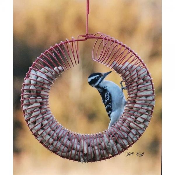 Peanut Wreath - Black