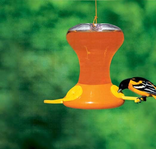 30 oz Oriole Nectar Feeder
