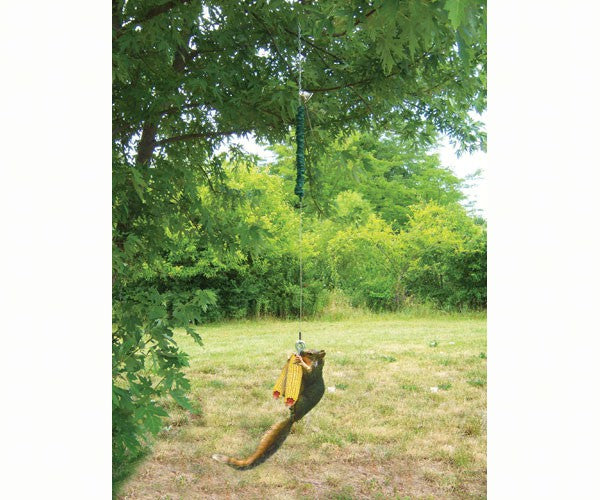 Deluxe Squngee Squirrel Feeder
