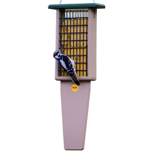 Pileated Suet Feeder - Green