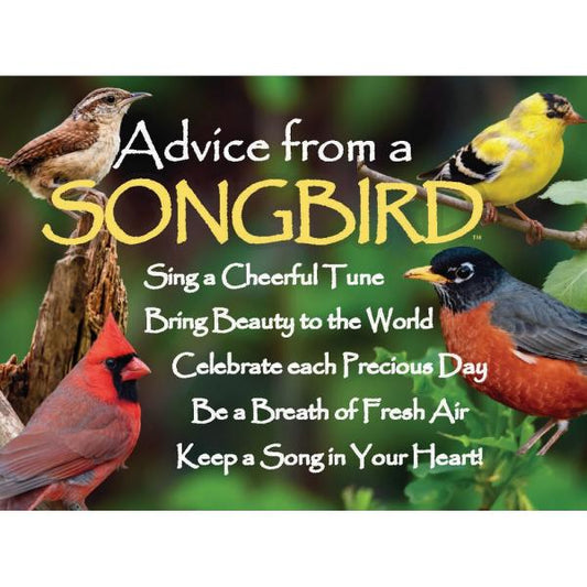 Advice from a Songbird Magnet