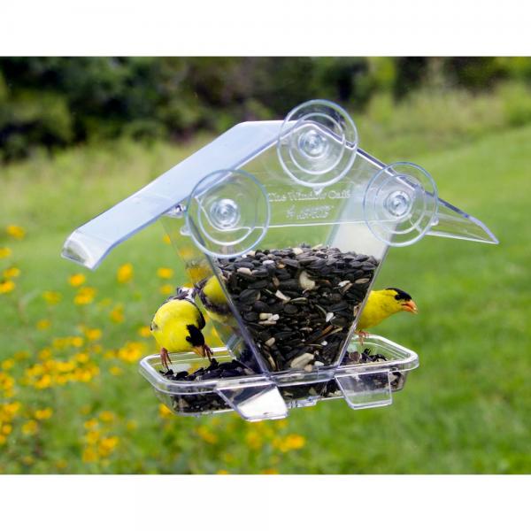 Window Cafe Hopper Feeder