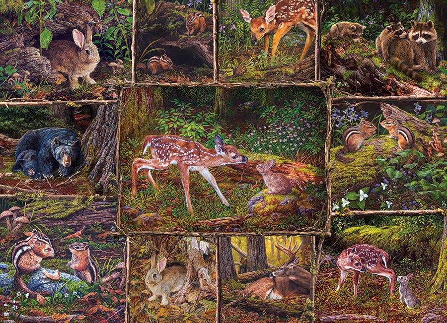 Into the Woods 350 Piece Puzzle (Family)
