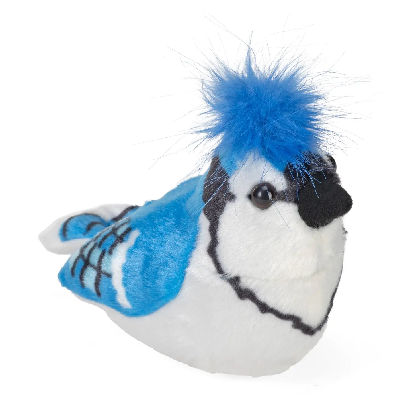 Blue Jay