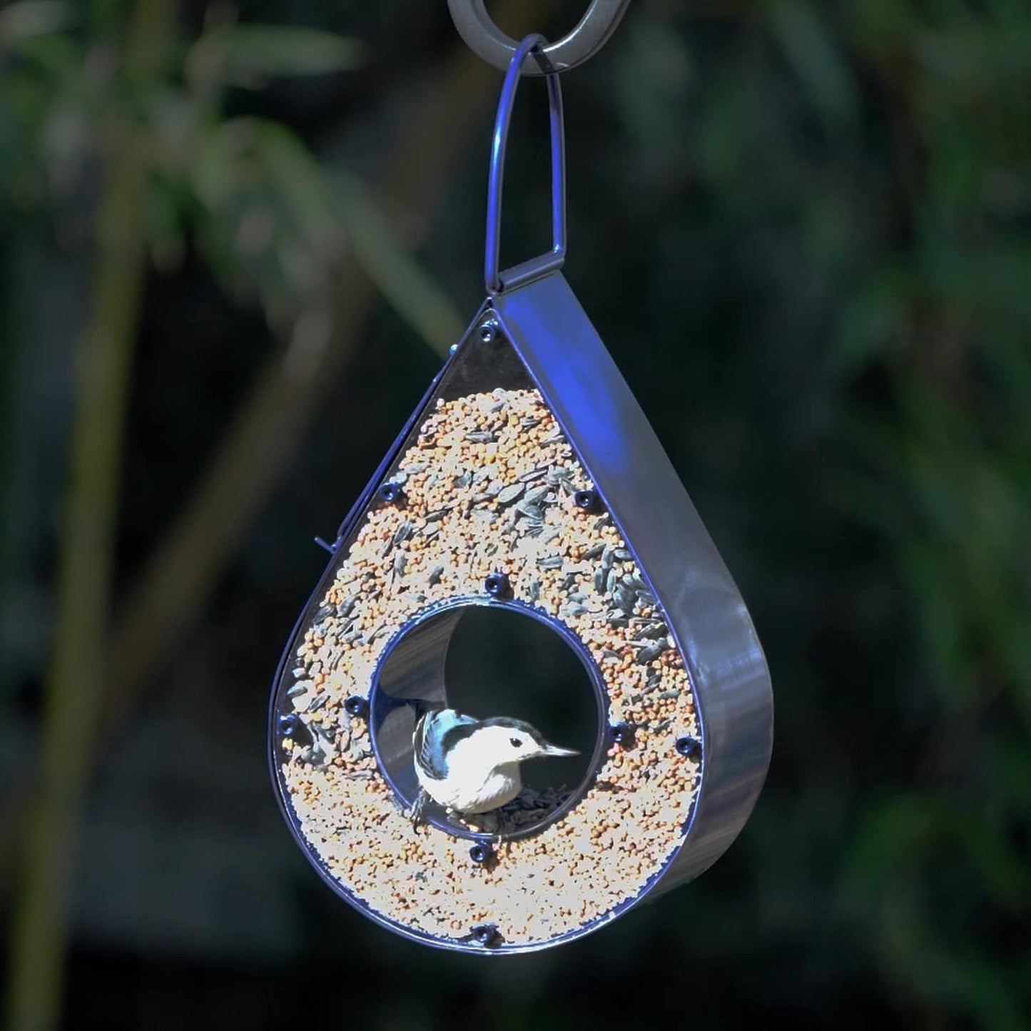 Raindrop Fly-Thru Feeder - Blue