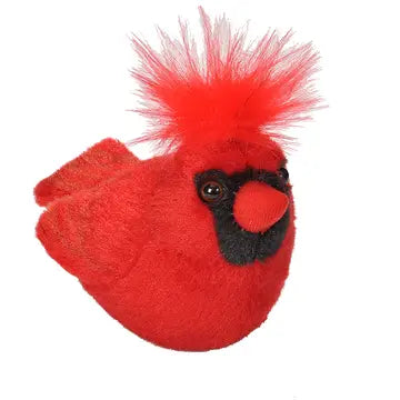 Northern Cardinal