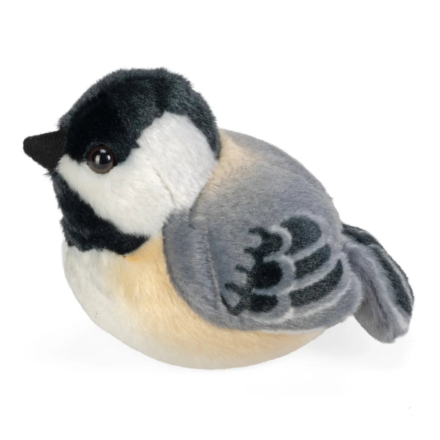 Black Capped Chickadee