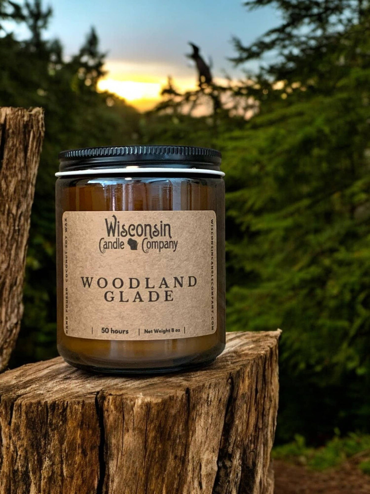 Woodland Glade