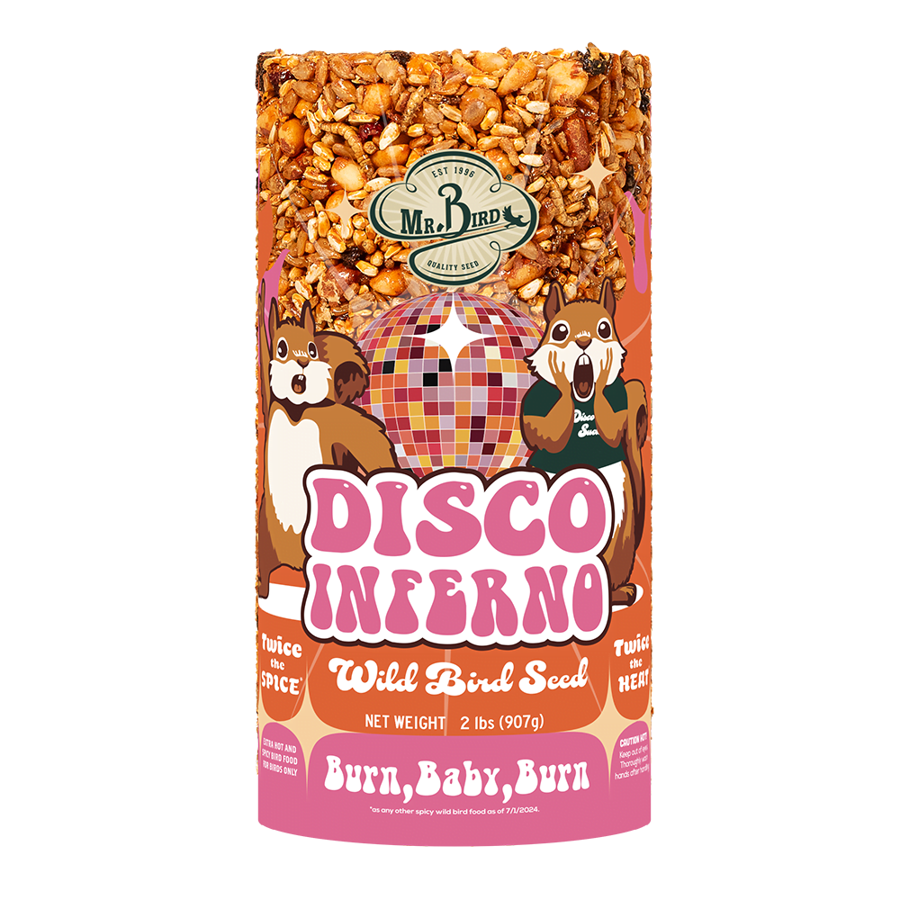 Disco Inferno Seed Cylinder