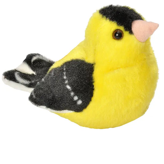 American Goldfinch