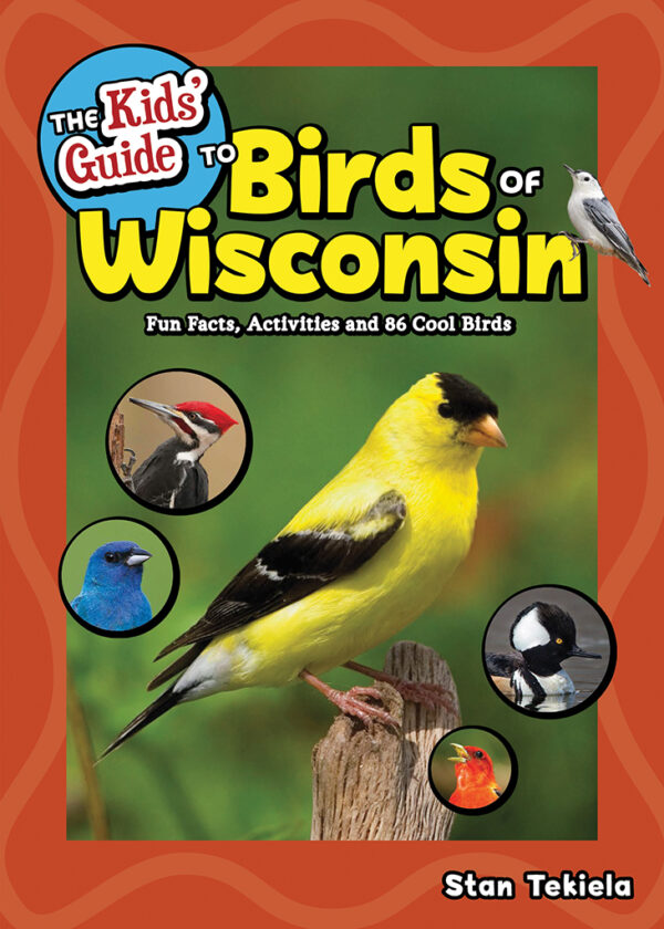 Birds of Wisconsin -Kids Guide