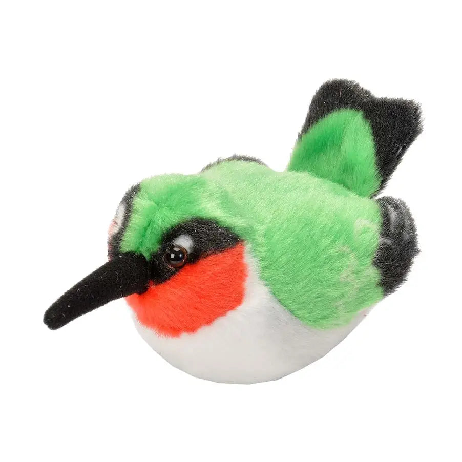 Ruby Throated Hummingbird