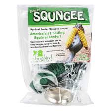 Deluxe Squngee Squirrel Feeder
