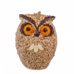 Whoo-lio the Owl
